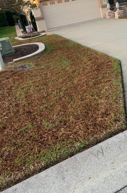 TIECTOWN 2026 Upgrade 16-Inch 15.5A Electric Dethatcher & Scarifier, Green customer photo 1