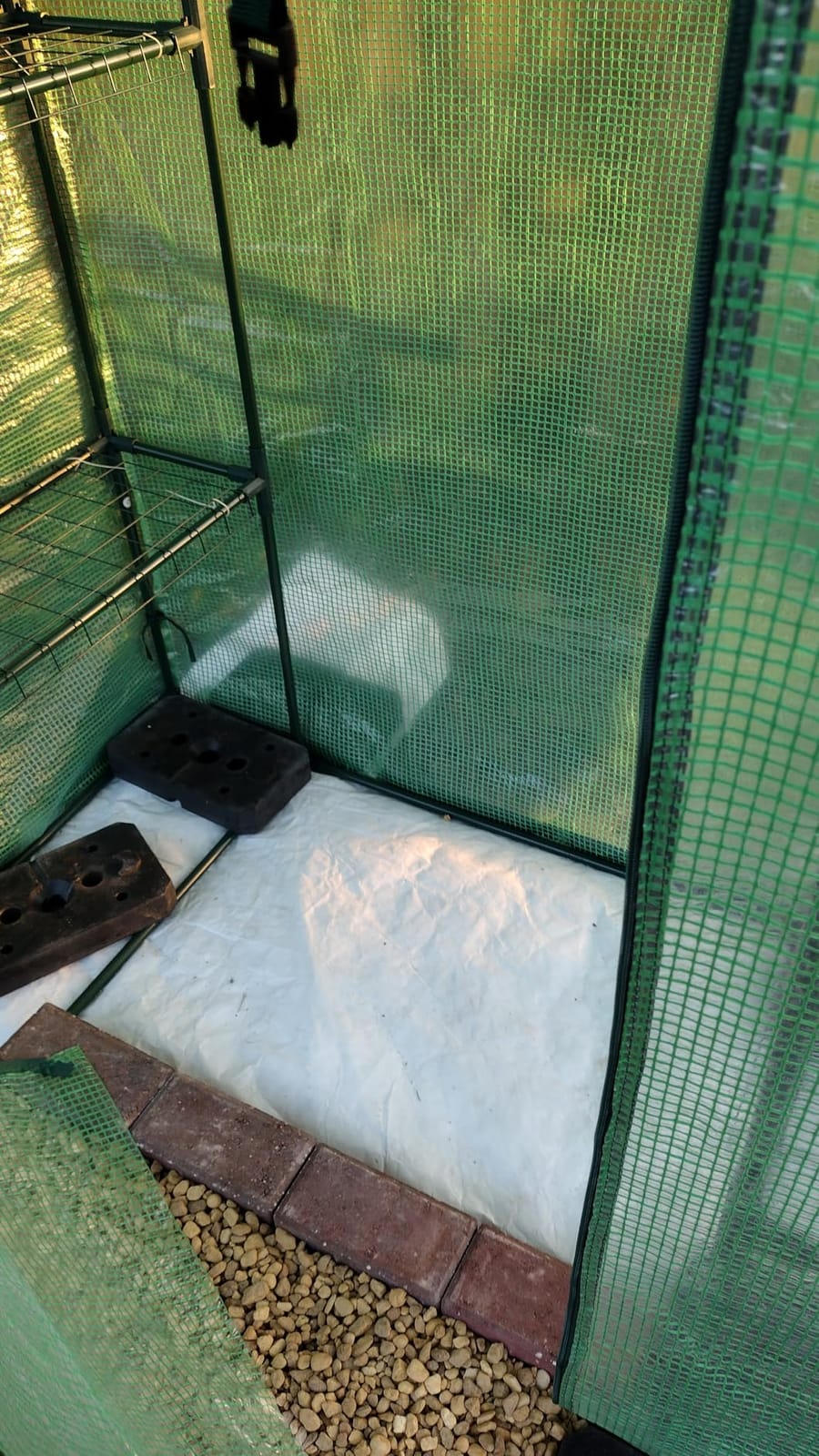 VEVOR Walk-in Greenhouse, 76.8