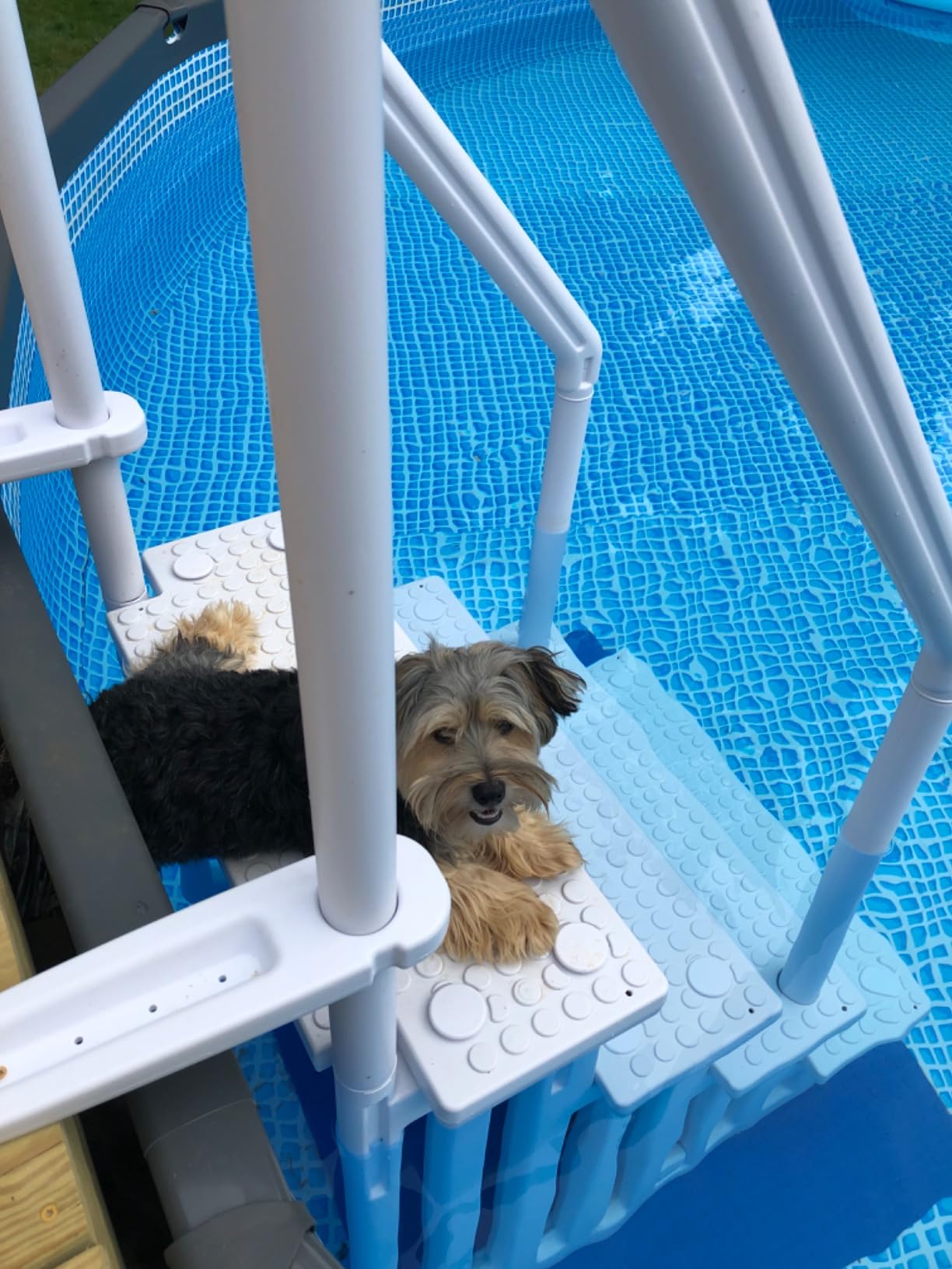 XtremepowerUS Above Ground Swimming Pool Ladder and 4-Step System with Handrails, Heavy-Duty Entry Ladder for Deck to Pool Access, Safety Step Design customer photo 1